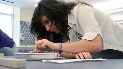 Karolina Toth examining portion of a brain.